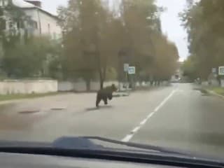 Katastrofálna situácia v Rusku: