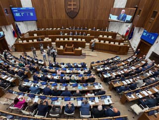 Fico dostal politickú facku: