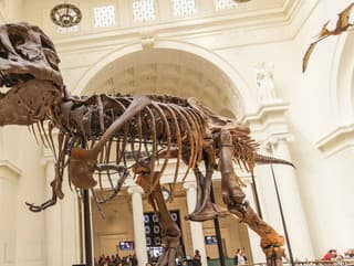 V rebre obrovského T-Rexa