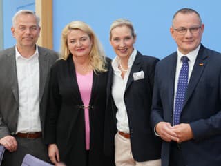 Hlavní kandidáti strany AfD