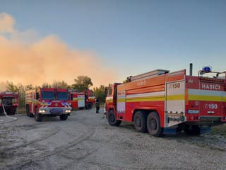 Požiar lesa v Dolnom