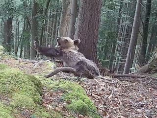 Unikátne VIDEO zo slovenskej