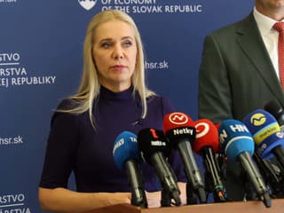 Ministerka hospodárstva Denisa Saková