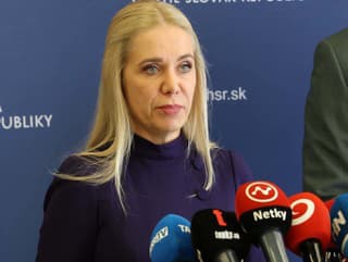 Ministerka hospodárstva Denisa Saková