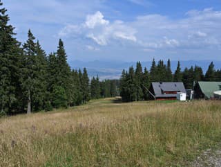 HRÔZA v lese pod