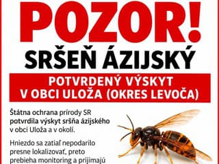 Sršeň ázijský na Slovensku: