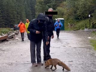 Poburujúce VIDEO dvojice turistov: