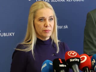 Ministerka hospodárstva Denisa Saková