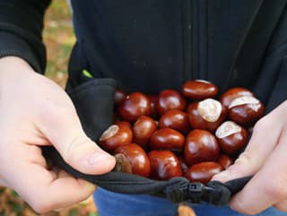 Sezónna pochúťka plná zdravia: