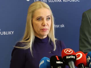 Ministerka hospodárstva Denisa Saková