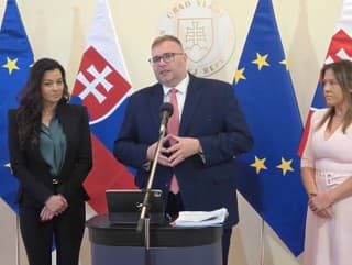 Verejný ochranca práv (VOP)