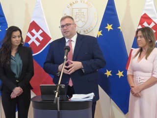 Verejný ochranca práv (VOP)