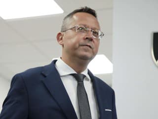 Ladislav Kamenický