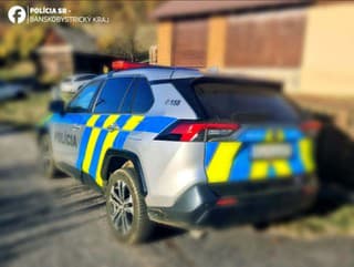 Polícia vyšetruje treľbu pri
