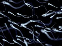 Muž si injekčne aplikoval vlastné spermie v snahe zbaviť sa bolesti chrbta: Skončil v nemocnici s vážnymi komplikáciami FOTO