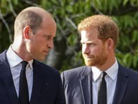 Princ William a Harry opäť bok po boku. 
