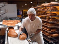 Pekári bijú na POPLACH a vyzývajú vládu! Sú kritickou infrašktruktúrou, no dusia ich nové náklady