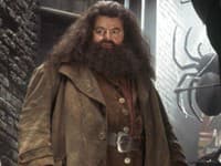 Robbie Coltrane ako legendárny Hagrid