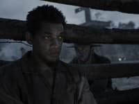Zábery z filmu Emancipation