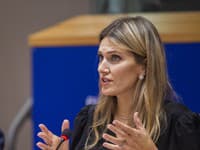 Bývalá podpredsedníčka Európskeho parlamentu