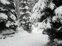 Snehová nádielka na Slovensku