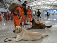 Členovia juhokórejského záchranárskeho tímu so psami sa pripravujú na odlet do Turecka