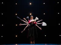 Charitatívne predstavenie ONY