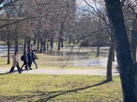 Sad Janka Kráľa je