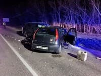 Vodič v okrese Nové Mesto nad Váhom po zrážke so zverou narazil do protiidúceho auta