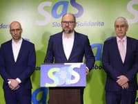 Richard Sulík