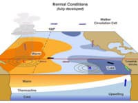 Schematické zobrazenie priestorovej distribúcie (rozloženia) prízemného tlaku vzduchu, odchýlok teploty morskej vody (SST_anomaly) a prevládajúceho smeru prúdenia v spodnej troposfére v podmienkach El Niño (vľavo), La Niña (vpravo) a ENSO-neutrál (v strede)