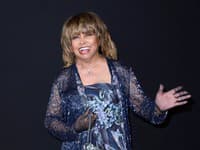 Tina Turner