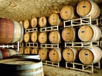 Mnohí slovenskí vinári ukrývajú vinárske tajomstvá vo svojich pivniciach.