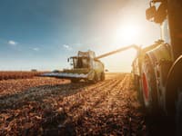 Mrazivé zistenie vedcov: Čaká nás tragédia? Toto VŠETKO obsahujú potraviny, ktoré jeme