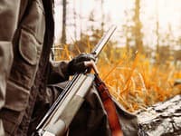 Šokujúca tragédia v Poľsku: Poľovník si pomýlil muža s diviakom, zraneniam na mieste podľahol