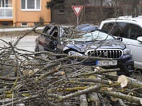 Na snímke zničené auto od vyvráteného stromu počas silného vetra na sídlisku Furča v Košiciach