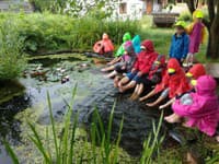 Na východnom Slovensku sa venujú osvete, ako meniť školské dvory na klimatické záhrady. Zdroj: OZ Sosna