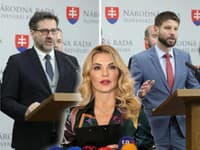 SaS spolu s PS podajú návrh na vyslovenie nedôvery ministerke kultúry Martine Šimkovičovej 