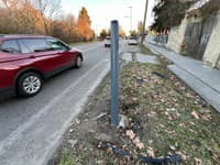 Tajomníčka podpredsedu vlády Alena Sábelová narazila v Bratislave vládnym BMW do stĺpa verejného osvetlenia.