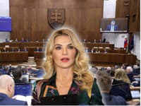 Ministerku kultúry Šimkovičovú majú v pondelok odvolávať