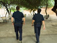 Policajtov zmiatol čudný zvuk: Keď sa pozreli na strom, všetko bolo jasné! Neubránite sa smiechu