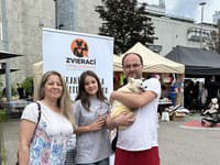 Z útulku Bullterrier Rescue Slovakia  do nového domova