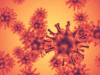 Nová hrozba? WHO potvrdila prvý smrteľný prípad TOHTO ochorenia u človeka