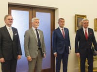 Babiš ne bo sprejemal nepreklicnih korakov, dokler ne bo prepričan o imenovanju za premierja