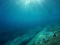 Po tomto VIDEU už do mora nevkročíte! Takto skončí človek pri stretnutí s gigantickou príšerou