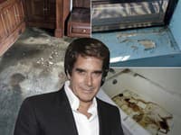 David Copperfield