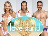 Súťažiaci Love Islandu sú známi: 2. vicemiss, EX známej Slovenky a... TENTO už v jednej šou bol!