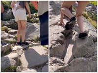 Šokujúci pohľad v Tatrách: VIDEO Dievča sa vybralo na turistiku... Neuveríte, v čom!