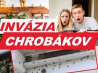 FOTO Nepríjemná invázia CHROBÁKOV! Obsadili balkóny, lezú do bytov: Malé potvory aj ŠTÍPU, ako sa ich zbaviť?