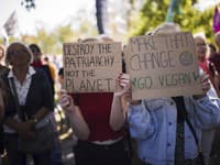 Protesty v Berlíne v rámci globálneho klimatického štrajku hnutia Piatky pre budúcnosť.